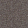 M389 - metallic dark brown cupper