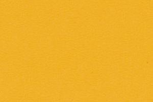 M310 - jaune maïs