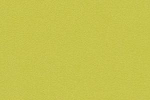 M369 - vert