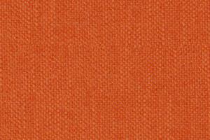 P720 - Carrot
