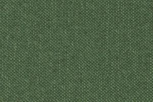 P760 - Basil