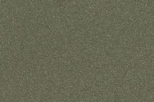 PZ60 vert gris mousse