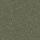 PZ60 vert gris mousse